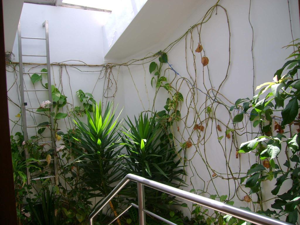 Residencial Moeda Hotel Coimbra Buitenkant foto