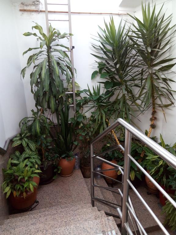 Residencial Moeda Hotel Coimbra Buitenkant foto