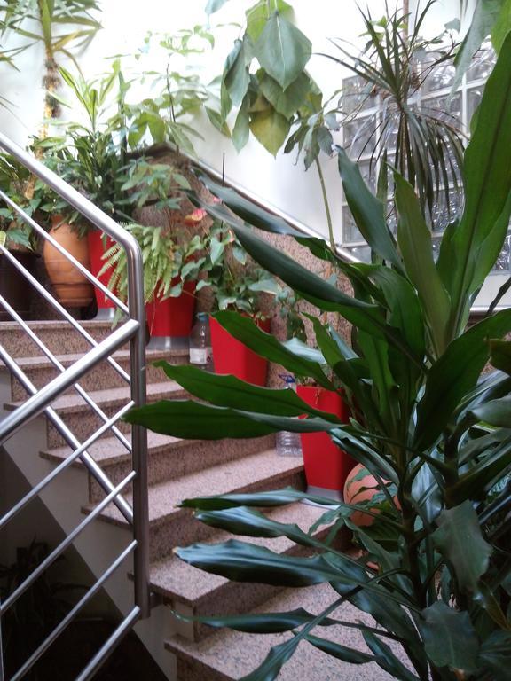Residencial Moeda Hotel Coimbra Buitenkant foto